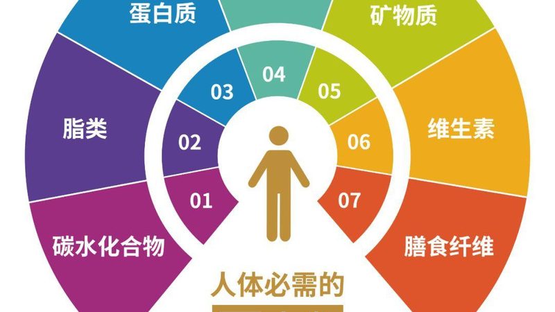 小标题：膳食补充剂与日常饮食的关系